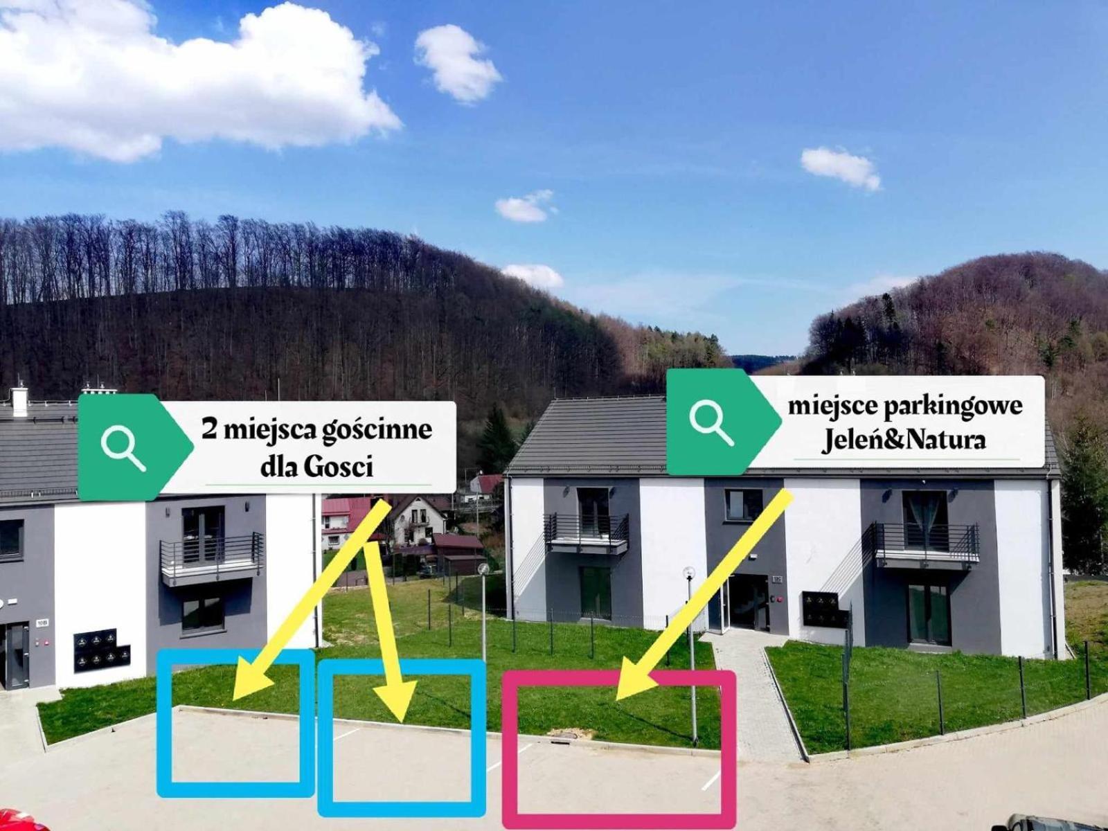Apartment Roku 2025 !! Spa & Relax Jelen & Natura Kudowa Zdroj Luaran gambar